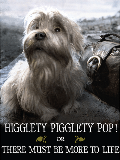Higglety Pigglety pop!